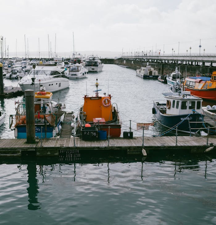services-02 Colorful fishing boats docked at a marina under a cloudy sky, showing vibrant maritime life.